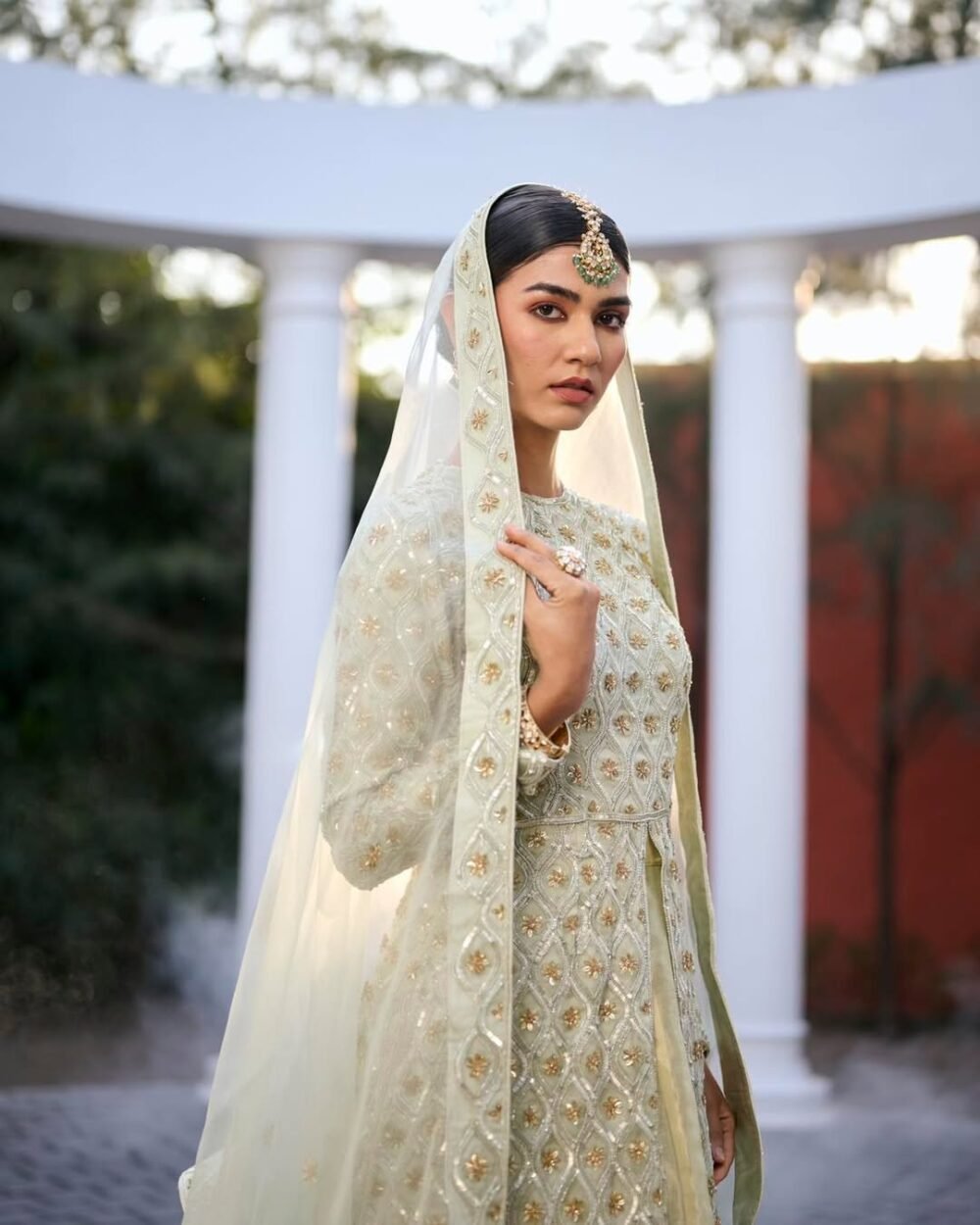 Center-Cut Pakistani Dress with Skirt - Image 5